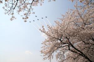 滝山公園(展望休憩舎)の画像