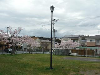 牛網風の子公園の画像