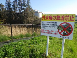 ため池外来魚の放流禁止看板