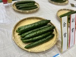 きゅうりの写真