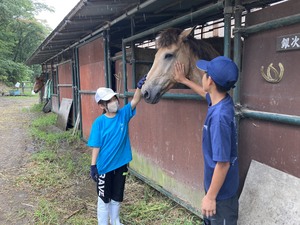 八丸牧場で馬のお世話をしている写真